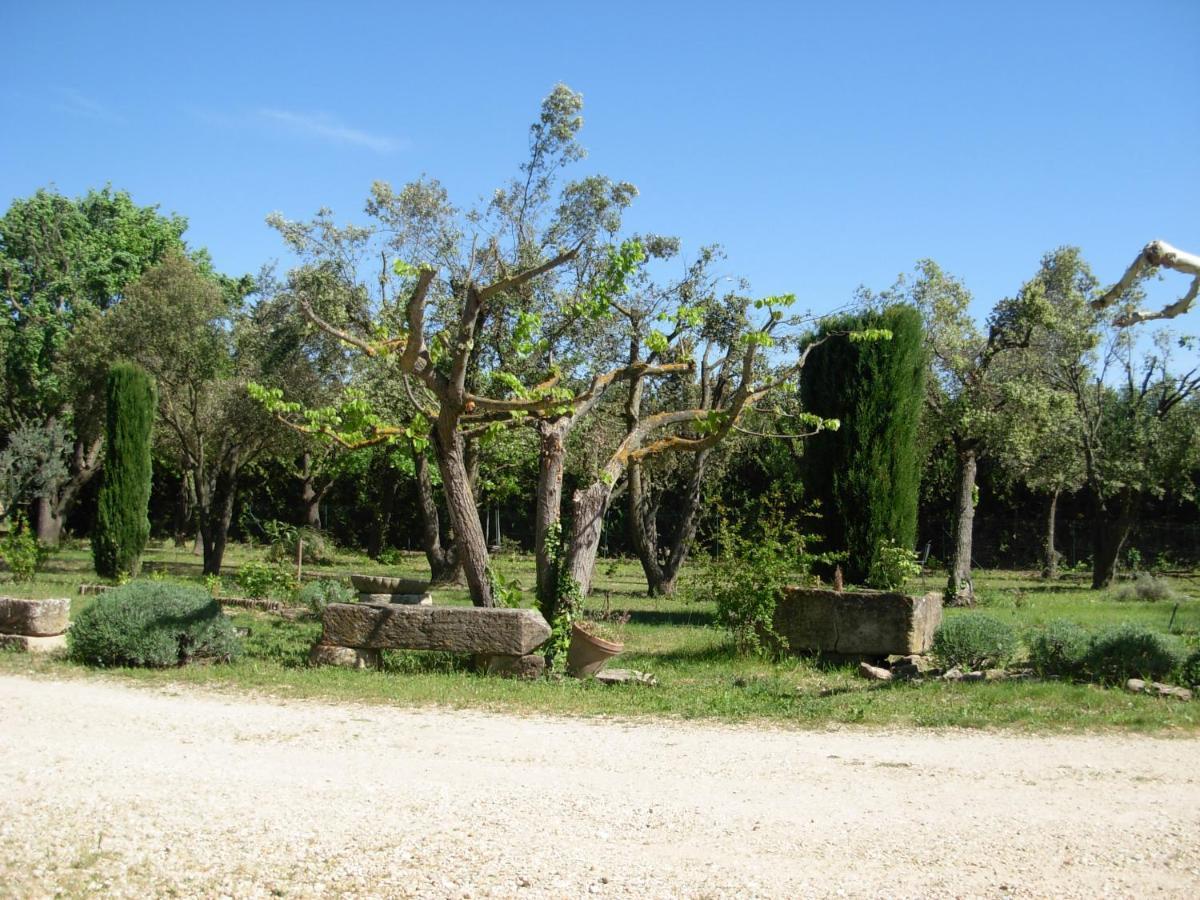 Mas la Vitalis Chambres D'Hôtes LʼIsle-sur-la-Sorgue Exterior foto
