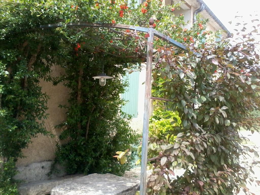 Mas la Vitalis Chambres D'Hôtes LʼIsle-sur-la-Sorgue Exterior foto