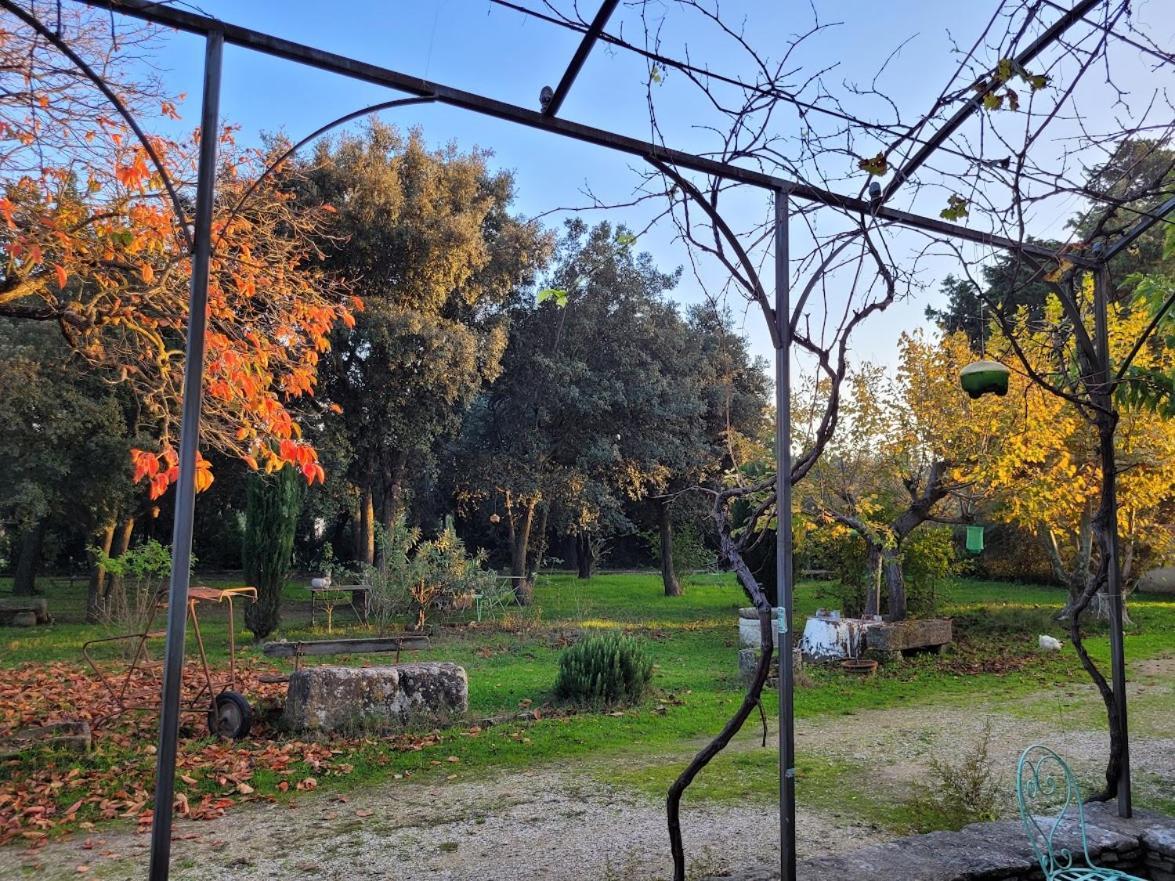 Mas la Vitalis Chambres D'Hôtes LʼIsle-sur-la-Sorgue Exterior foto